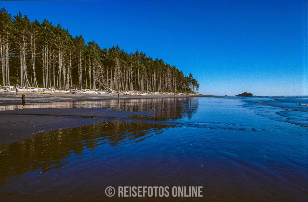 Blick auf den Olympic Nationalpark