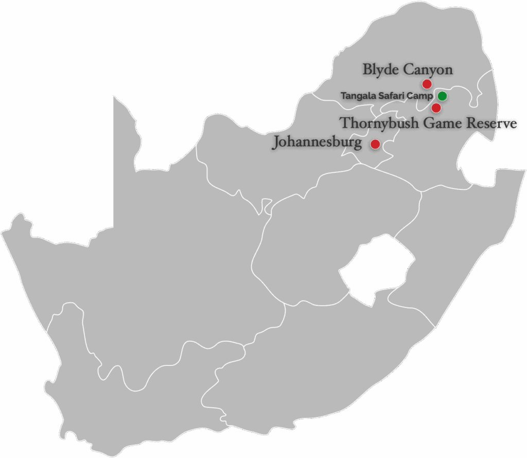 Thornybush Game Reserve – Traumhafter Aufenthalt im Greater Kruger National Park